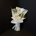 Blanc Phalaenopsis