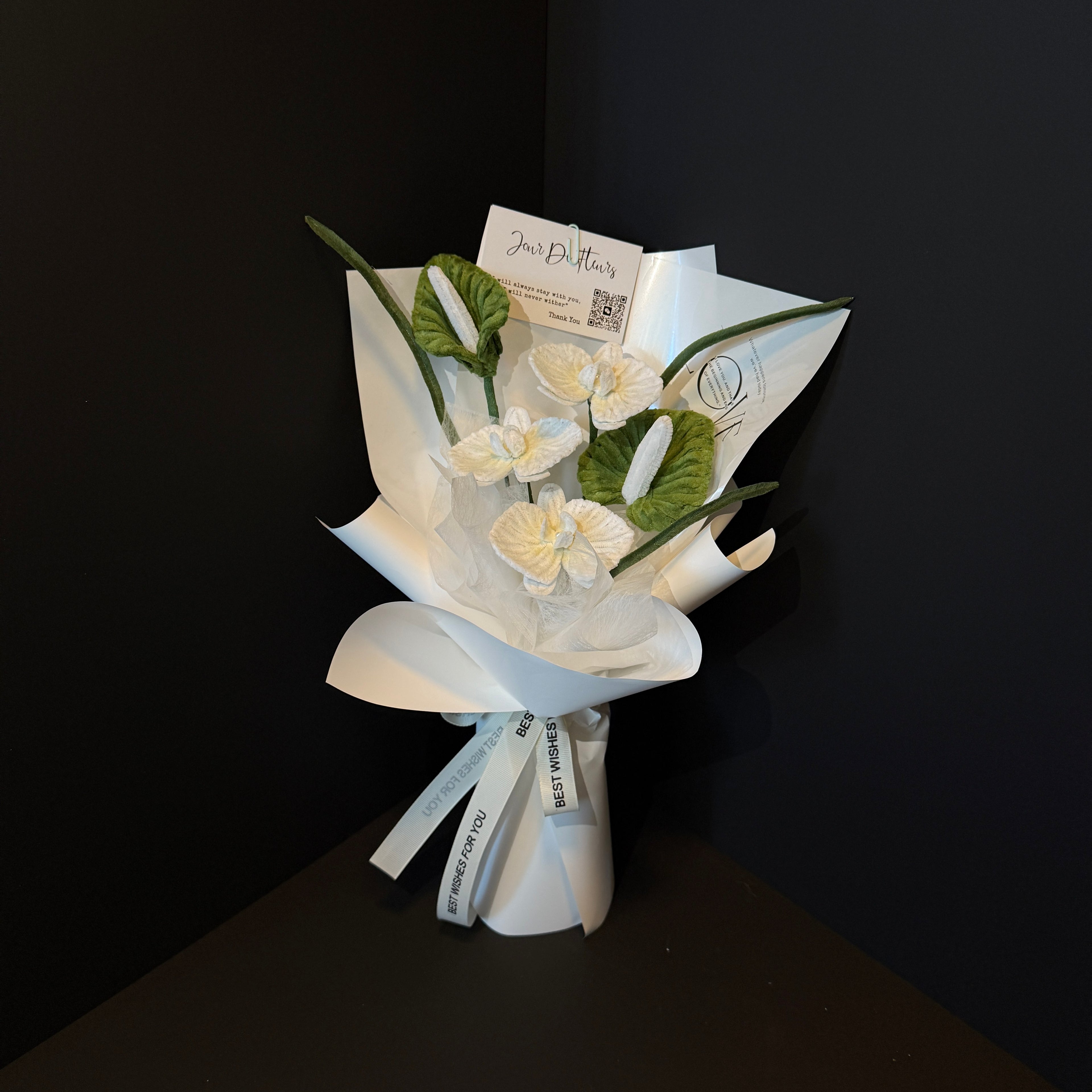 Blanc Phalaenopsis